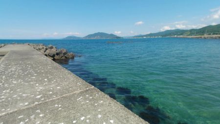 アコウ　アイナメ　釣りと趣味のKちゃんねる